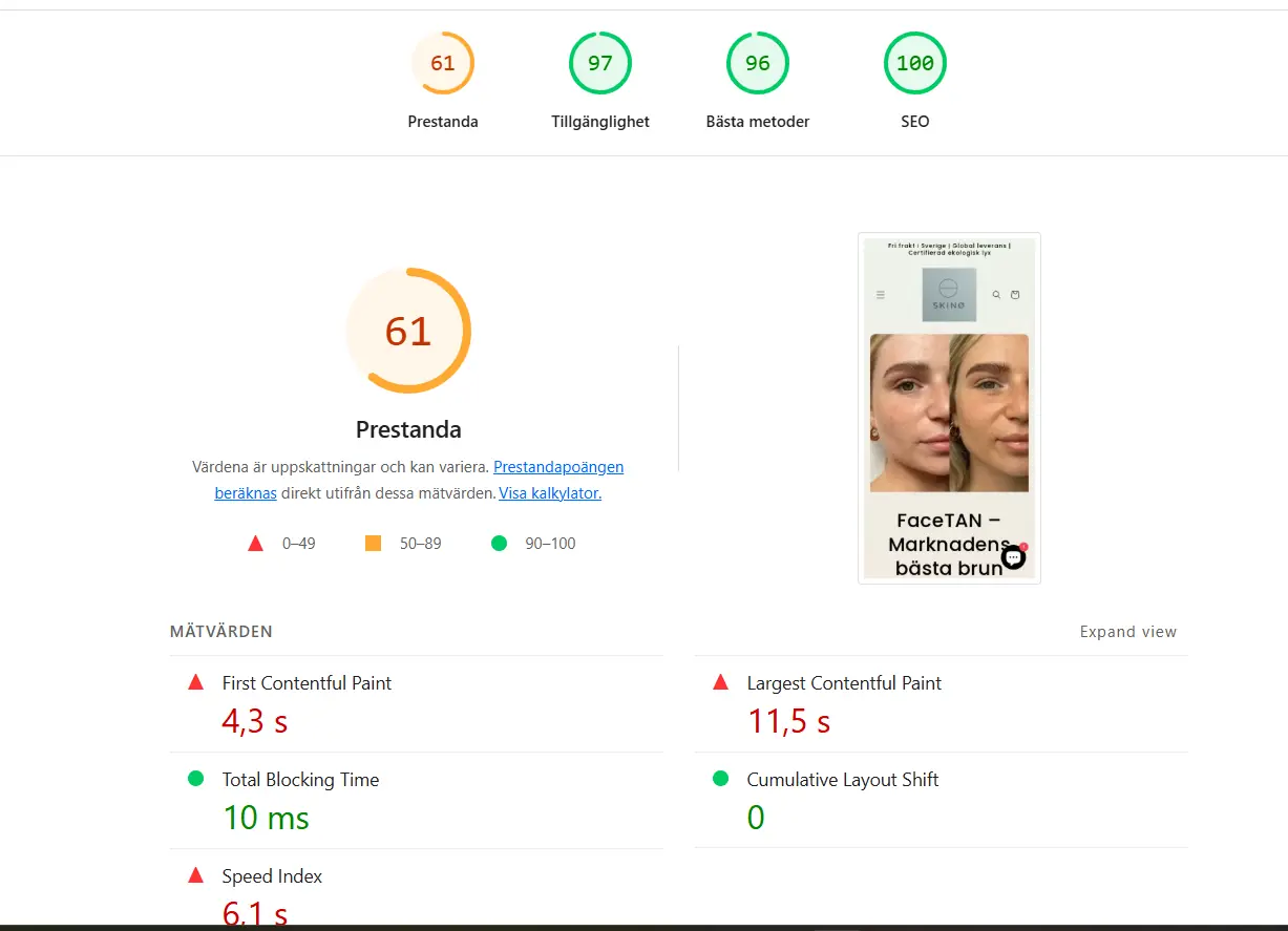 PageSpeed Insights resultat 61 procent mobil prestanda FaceTAN.