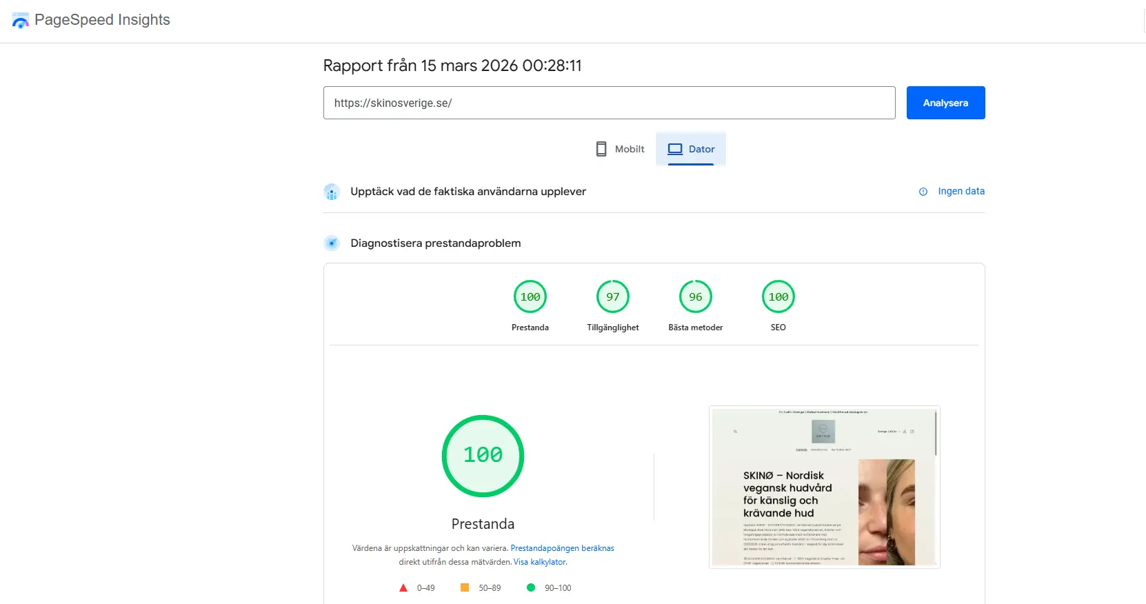 PageSpeed Insights resultat 100 desktop prestanda Skinø Sverige.
