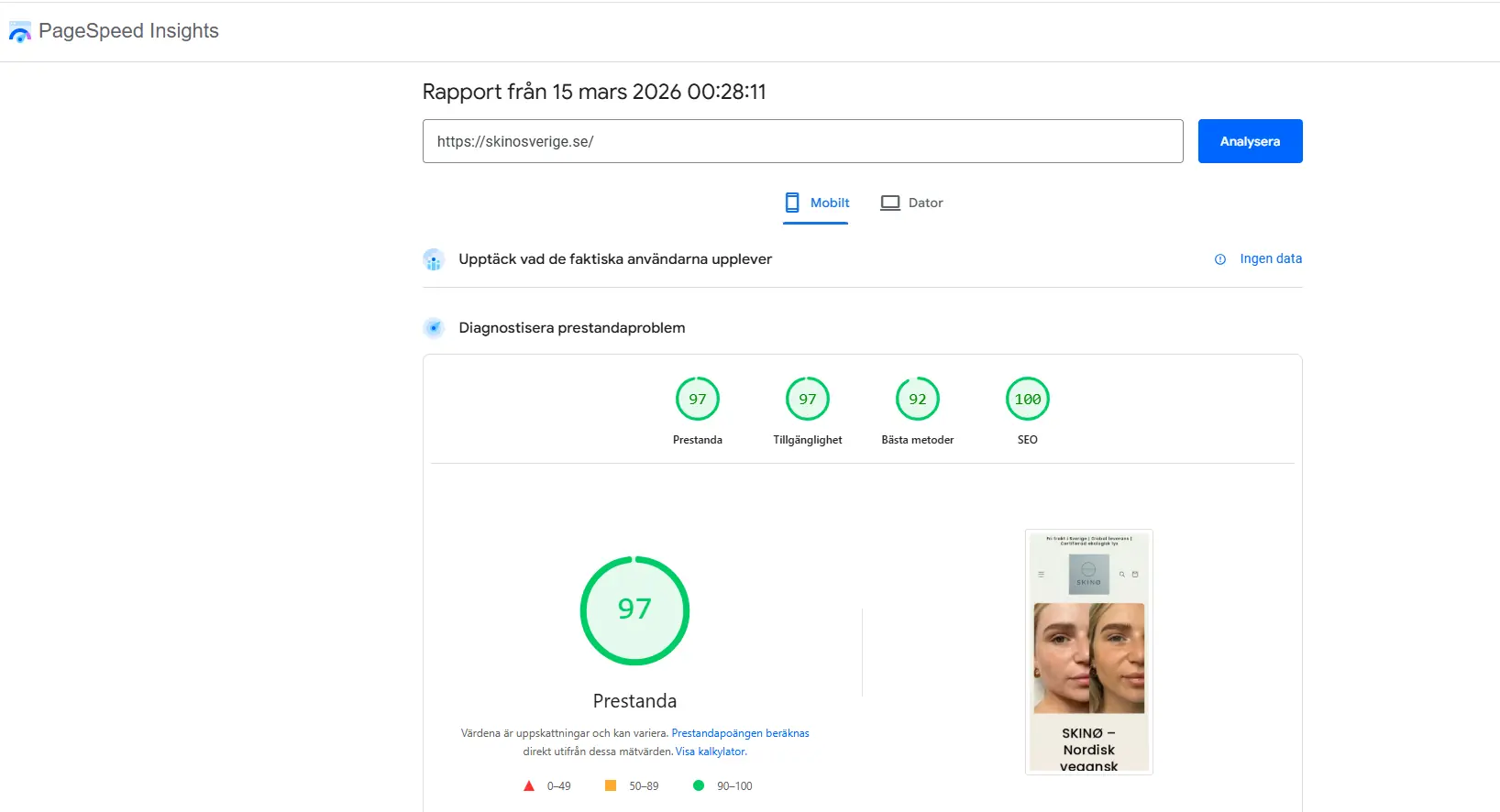 PageSpeed Insights resultat 97 procent mobil prestanda Skinø Sverige.